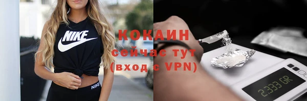 таблы Новозыбков